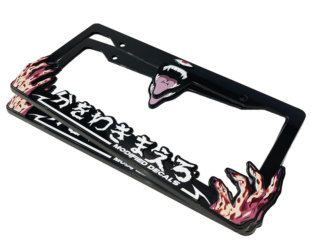 "Know Your Place" License Plate Frame
