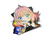 Sticky Image