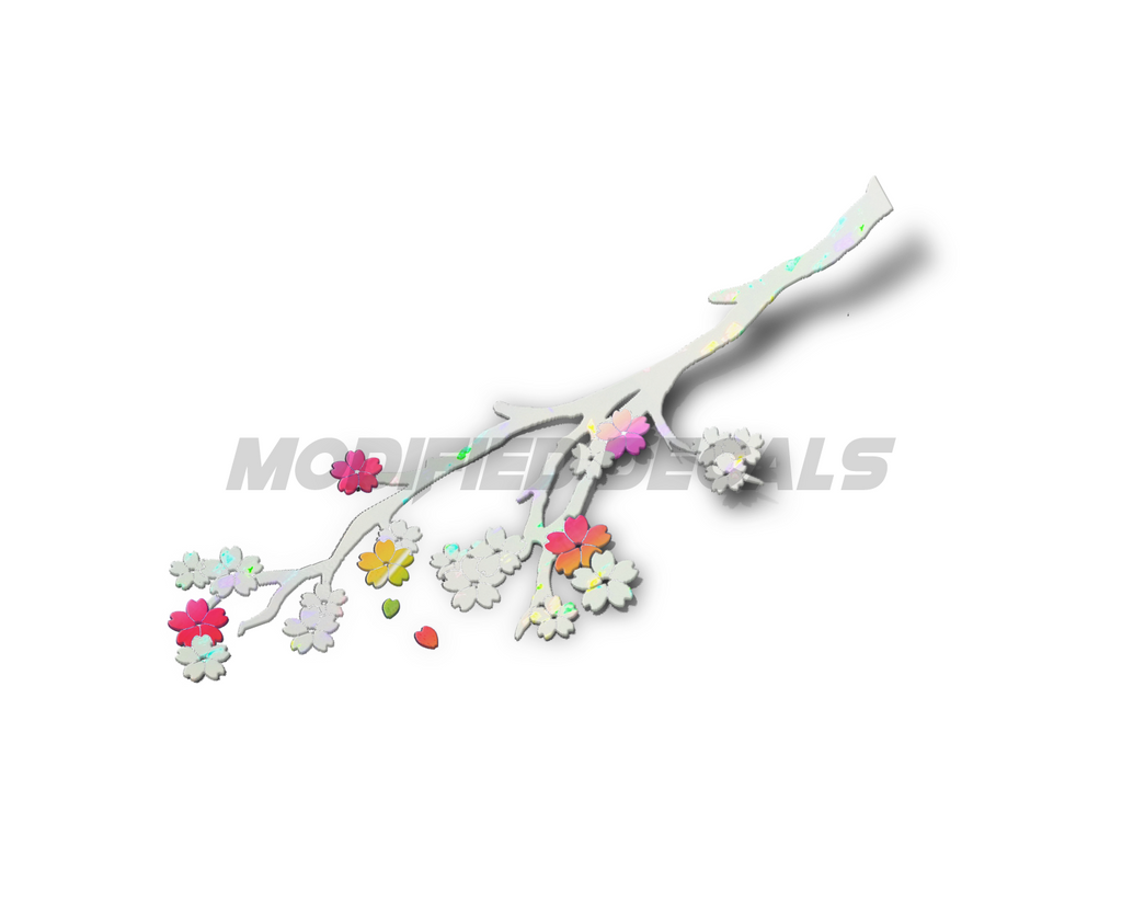 🌸 Sakura Blossom 🌸