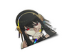 Sticky Image
